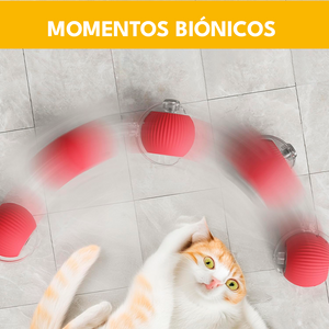 PELOTA INTERACTIVA PARA GATOS