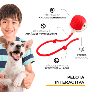 PELOTA INTERACTIVA PARA PERROS Y GATOS