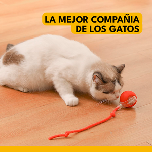 PELOTA INTERACTIVA PARA GATOS