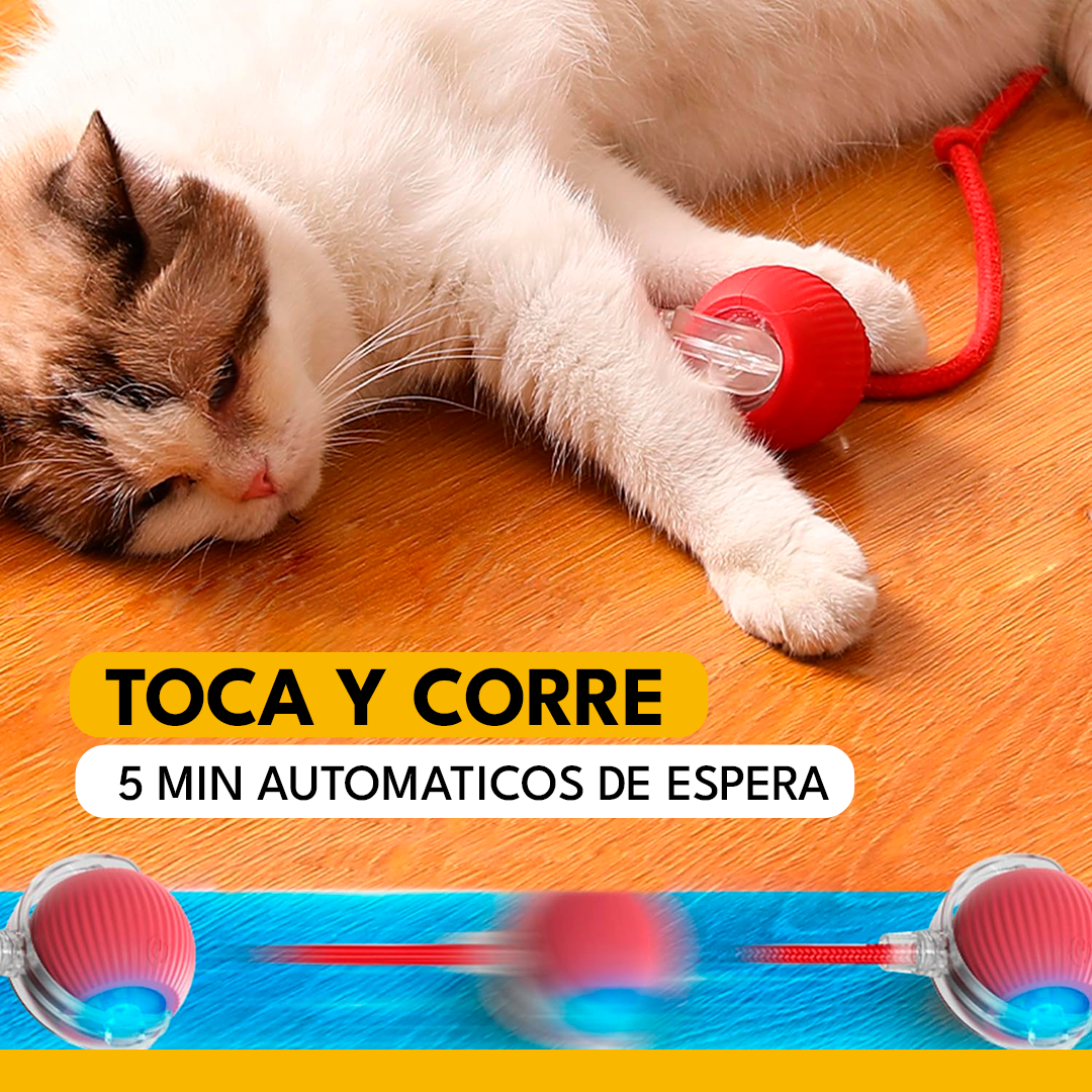 PELOTA INTERACTIVA PARA GATOS